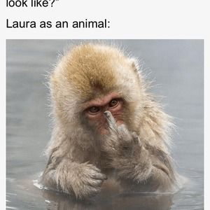 Meet your Posher, Laura